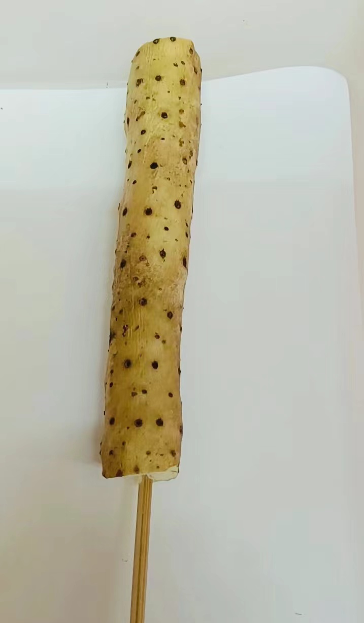 大山藥